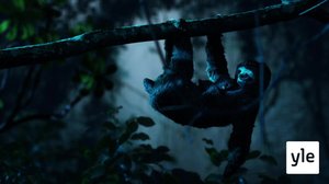 Laiskiaiset (S): 16.10.2021 10.00