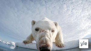 Etelä- ja pohjoisnapa: 18.10.2021 06.00