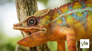 Saaret: 18.10.2021 06.00