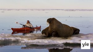 Epävarma tulevaisuus: 21.10.2021 06.00