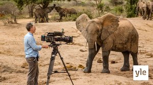 Norsujen haasteet: 21.10.2021 06.00