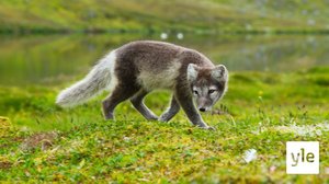 Valmiina maailmaan: 21.10.2021 06.00