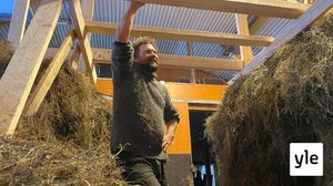 Näin valmistuu perinteikäs kekripukki: 22.10.2021 11.59