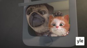 Valkoinen katti (7): 23.10.2021 10.00