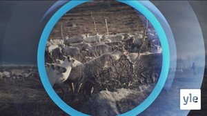 Oddasat: 26.10.2021 22.00