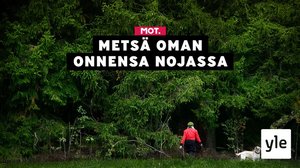Metsä oman onnensa nojassa: 01.11.2021 06.00