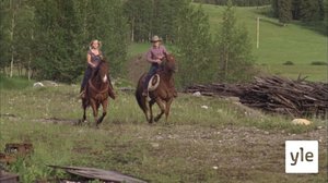 Totuus paljastuu: 02.11.2021 06.00