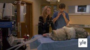 Aito kutsumus (7): 02.11.2021 06.00