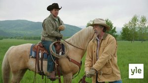 Erimielisyyksiä (S): 02.11.2021 06.00