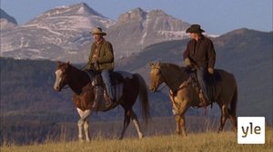 Periksi ei anneta (7): 02.11.2021 06.00