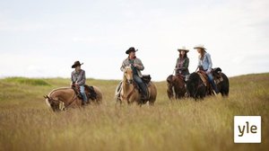 Rauhanhäiritsijät (7): 02.11.2021 06.00