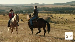 Vauhtia kerrakseen (7): 02.11.2021 06.00