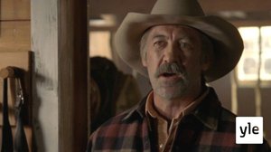 Villihevosia (7): 02.11.2021 06.00