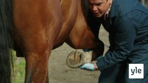 Kiperä tilanne (7): 02.11.2021 06.00