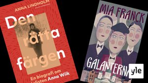 Svenska Yle live: Bokkalaset i Ekenäs - författarsamtal 3: 12.11.2021 12.48