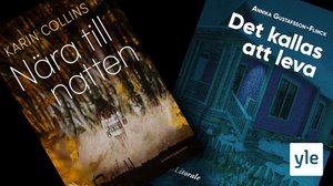 Svenska Yle live: Bokkalaset i Ekenäs - författarsamtal 4: 12.11.2021 13.36