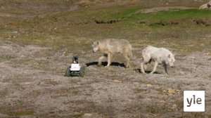 Syrjäpoluilla: 13.11.2021 06.00