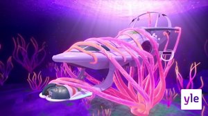 Merilevämambo (7): 14.11.2021 06.00