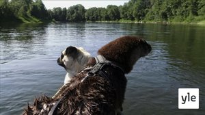 Kanotfärd (S): 15.11.2021 00.01