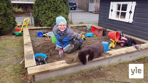 Robotdammsugare (S): 15.11.2021 00.01