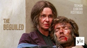 Korpraali McB (16): 16.11.2021 12.00