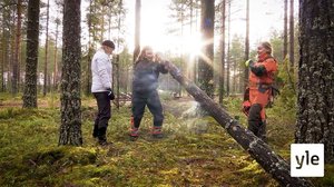 Naiset kokevat ettei heitä oteta vakavasti metsänhoitoasioissa: 18.11.2021 11.35