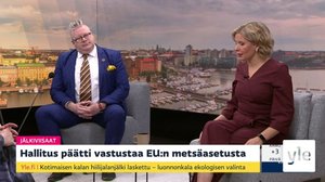 Jälkiviisaat: 19.11.2021 08.00