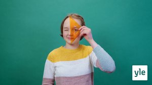 Asuminen: 19.11.2021 12.00