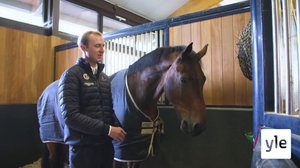 Ratsastuksen maailma: 20.11.2021 10.45