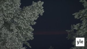 Urheilustudio: 20.11.2021 17.02