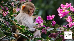 Itäinen Kiina: 22.11.2021 06.00