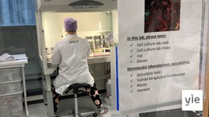 Tässä laboratoriossa sydänsolut saavat sydänkohtauksia – tutkijat rakentavat monikudosmallia, joka jäljittelee ihmiskehon toimintaa: 23.11.2021 12.27