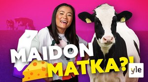 KIIA ja LEHMÄT – MITÄ MAITOTILALLA TAPAHTUU?!: 26.11.2021 15.11