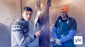 Vågar jag stycka en vitsvanshjort?: 29.11.2021 05.30