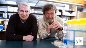 Isolaatiosiru mikrobien tutkimiseksi: 29.11.2021 06.00