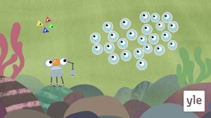 Sekainen jakautuja (S): 30.11.2021 10.00