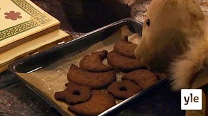 Piparkakut (S): 01.12.2021 00.01