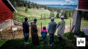 Tuplasuojaus (7): 03.12.2021 06.00