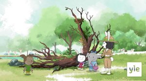 Nooran tammi (S): 03.12.2021 06.00