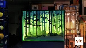 Kansallisuusaatteen nousu: 06.12.2021 06.00