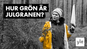 Nadde förstör julen (S): 09.12.2021 12.00