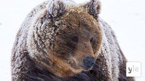 Petojen elämää: 13.12.2021 00.01