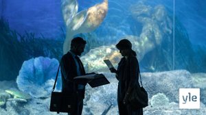 Kuollut sulhanen (12): 15.12.2021 06.00