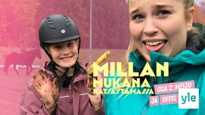 Meiju ja islanninhevonen Offis: 20.12.2021 09.00