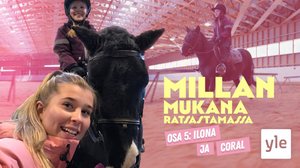 Ilona ja shetlanninponi Coral: 20.12.2021 09.00