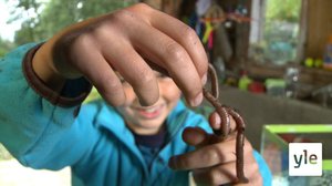 Madot (S): 16.12.2021 19.13