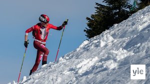 Vuorihiihto: 16.12.2021 21.44