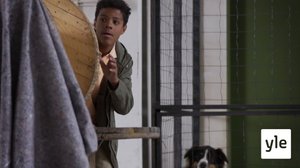 Pepper vaarassa (7): 17.12.2021 12.00