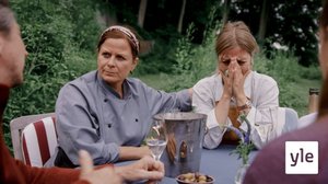 Pikkukokki (7): 22.12.2021 06.00