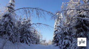 Oulusta Rovaniemelle pikkuteitä pitkin: 22.12.2021 13.09